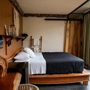 Hotel Bufo Alvarius Tulum