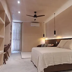 Mid-498 Centro Merida